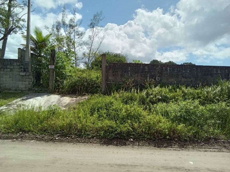 CHÁCARA A 200 METROS DA RODOVIA, EXELENTE LOCAL,,2.100M² OTIMO PREÇO